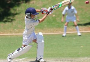 Acquaint yourself with several fantasy cricket systems